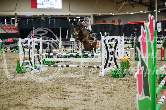 2025 - Haylee - Royal West - Wednesday October 22nd - 01342