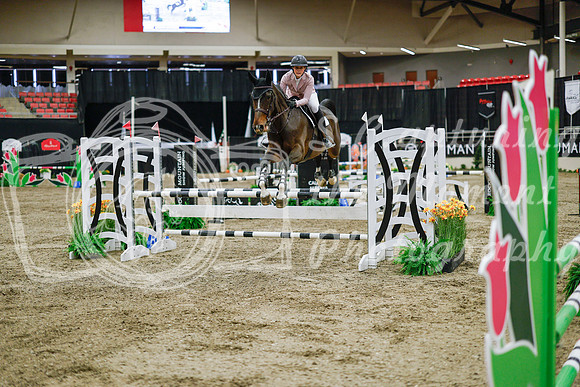 2025 - Haylee - Royal West - Wednesday October 22nd - 01346