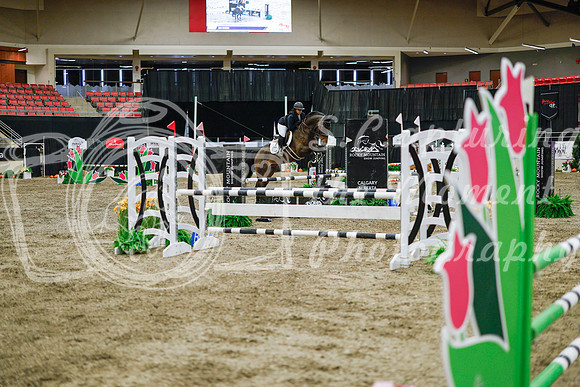 2025 - Haylee - Royal West - Wednesday October 22nd - 01699