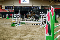 2025 - Haylee - Royal West - Wednesday October 22nd - 01702