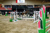 2025 - Haylee - Royal West - Wednesday October 22nd - 01701