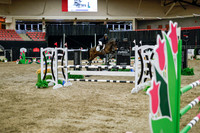 2025 - Haylee - Royal West - Wednesday October 22nd - 01703