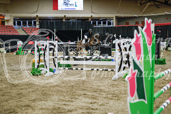 2025 - Haylee - Royal West - Wednesday October 22nd - 01703