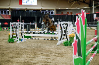 2025 - Haylee - Royal West - Wednesday October 22nd - 01707