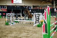 2025 - Haylee - Royal West - Wednesday October 22nd - 01709