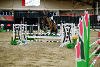 2025 - Haylee - Royal West - Wednesday October 22nd - 01713