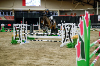 2025 - Haylee - Royal West - Wednesday October 22nd - 01714