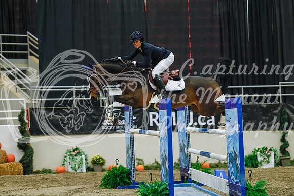 2025 - Haylee - Royal West - Wednesday October 22nd - 07740