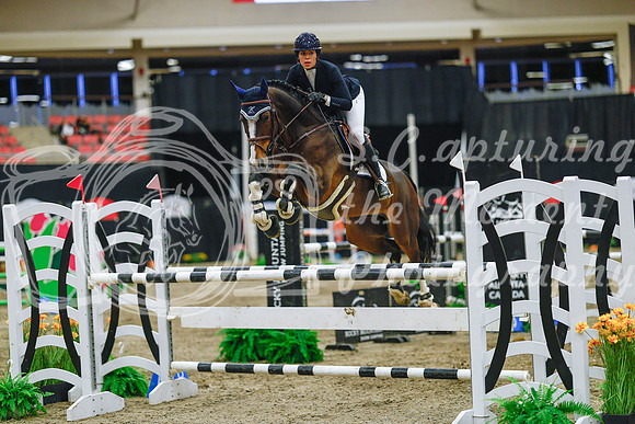 2025 - Haylee - Royal West - Wednesday October 22nd - 07746