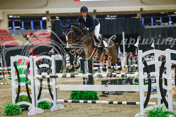 2025 - Haylee - Royal West - Wednesday October 22nd - 07750