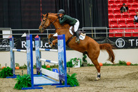 2025 - Haylee - Royal West - Wednesday October 22nd - 06584