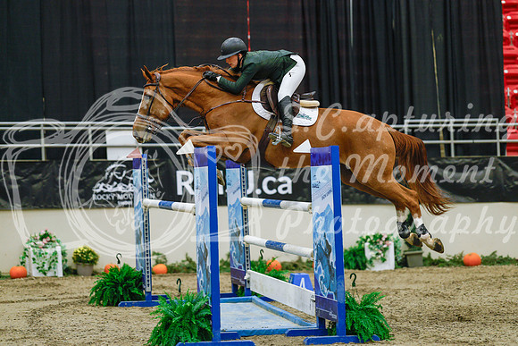 2025 - Haylee - Royal West - Wednesday October 22nd - 06591