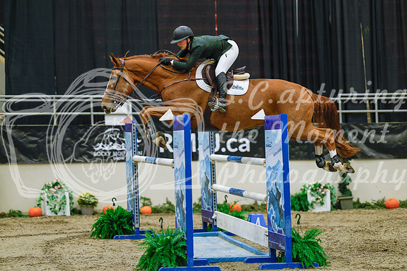 2025 - Haylee - Royal West - Wednesday October 22nd - 06593