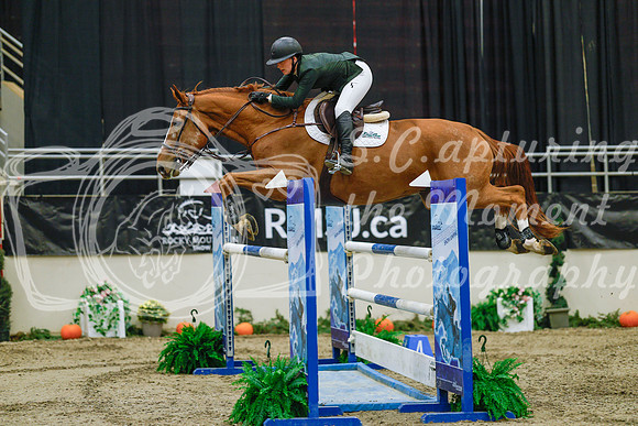 2025 - Haylee - Royal West - Wednesday October 22nd - 06594