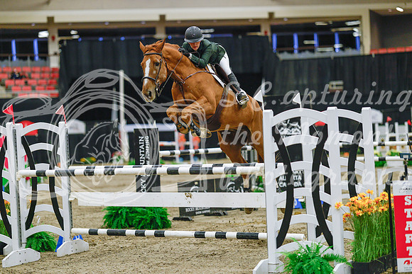2025 - Haylee - Royal West - Wednesday October 22nd - 06600