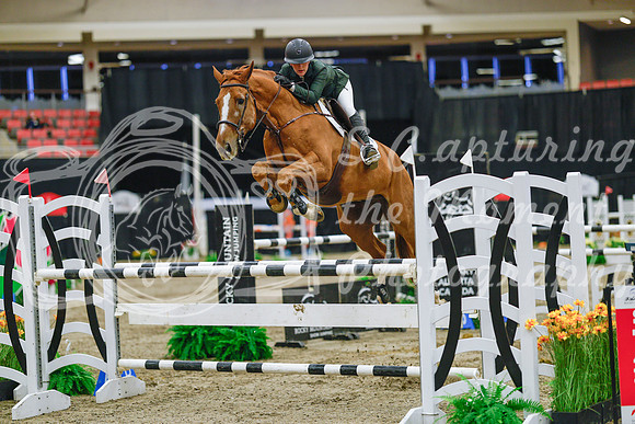 2025 - Haylee - Royal West - Wednesday October 22nd - 06601