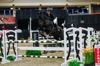 2025 - Haylee - Royal West - Wednesday October 22nd - 07868