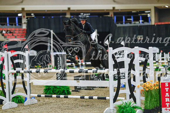 2025 - Haylee - Royal West - Wednesday October 22nd - 07868