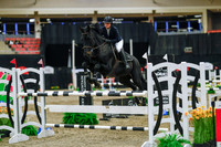 2025 - Haylee - Royal West - Wednesday October 22nd - 07870
