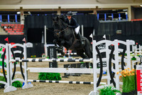 2025 - Haylee - Royal West - Wednesday October 22nd - 07869