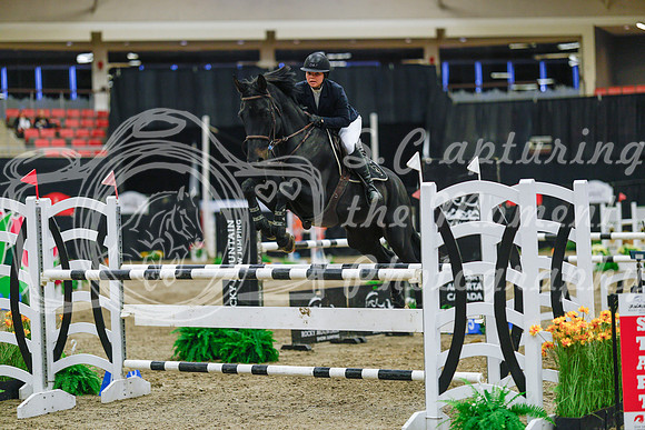 2025 - Haylee - Royal West - Wednesday October 22nd - 07869