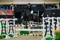 2025 - Haylee - Royal West - Wednesday October 22nd - 07873