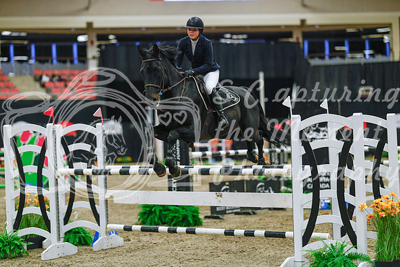 2025 - Haylee - Royal West - Wednesday October 22nd - 07874