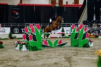 2025 - Haylee - Royal West - Wednesday October 22nd - 08457