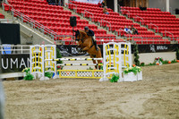 2025 - Haylee - Royal West - Wednesday October 22nd - 02636