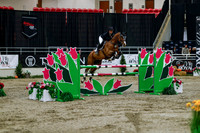2025 - Haylee - Royal West - Wednesday October 22nd - 08458