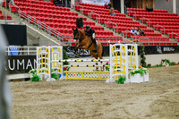 2025 - Haylee - Royal West - Wednesday October 22nd - 02641