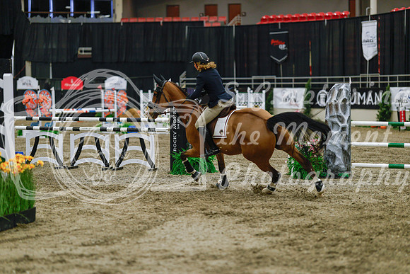 2025 - Haylee - Royal West - Wednesday October 22nd - 02650