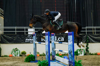 2025 - Haylee - Royal West - Wednesday October 22nd - 07805