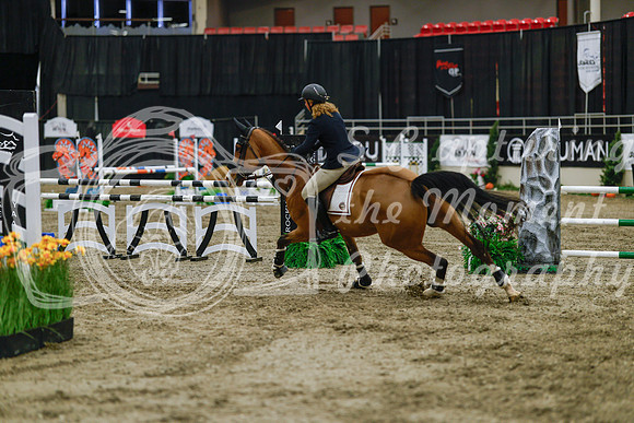 2025 - Haylee - Royal West - Wednesday October 22nd - 02652