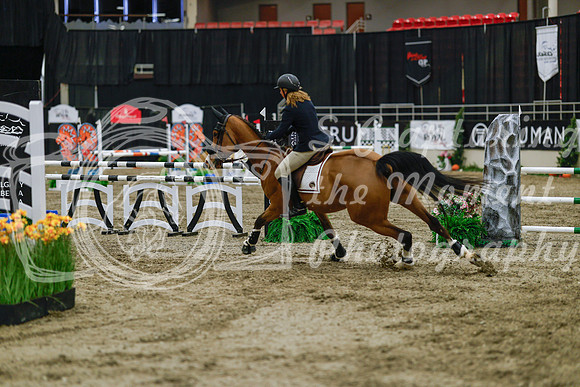 2025 - Haylee - Royal West - Wednesday October 22nd - 02653