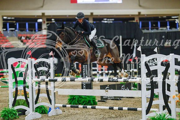 2025 - Haylee - Royal West - Wednesday October 22nd - 07814