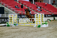 2025 - Haylee - Royal West - Wednesday October 22nd - 04523