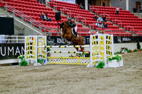 2025 - Haylee - Royal West - Wednesday October 22nd - 04526