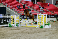 2025 - Haylee - Royal West - Wednesday October 22nd - 04527