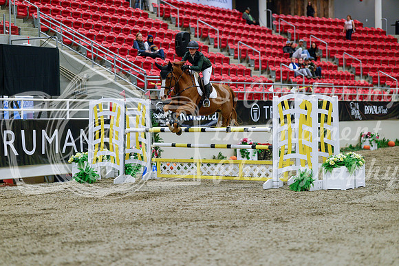 2025 - Haylee - Royal West - Wednesday October 22nd - 04532