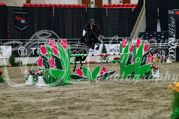2025 - Haylee - Royal West - Wednesday October 22nd - 10550