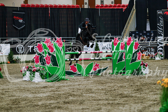 2025 - Haylee - Royal West - Wednesday October 22nd - 10551