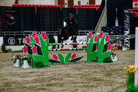 2025 - Haylee - Royal West - Wednesday October 22nd - 10555