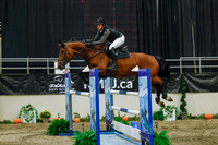 2025 - Haylee - Royal West - Wednesday October 22nd - 07204