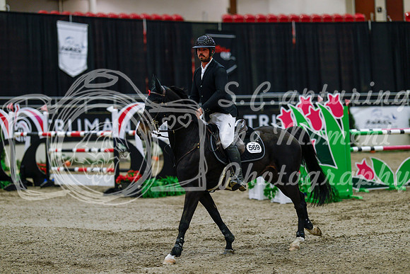 2025 - Haylee - Royal West - Wednesday October 22nd - 08224