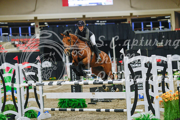 2025 - Haylee - Royal West - Wednesday October 22nd - 07215