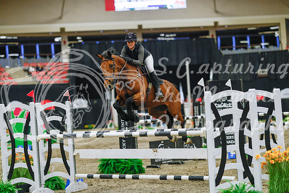 2025 - Haylee - Royal West - Wednesday October 22nd - 07216