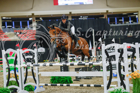 2025 - Haylee - Royal West - Wednesday October 22nd - 07217