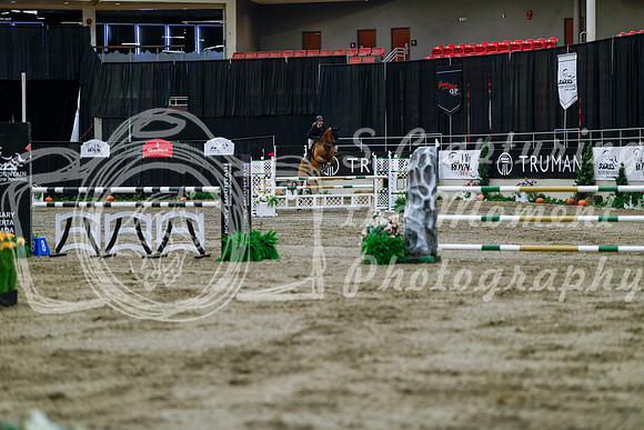 2025 - Haylee - Royal West - Wednesday October 22nd - 04669