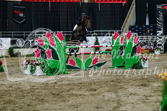2025 - Haylee - Royal West - Wednesday October 22nd - 09466